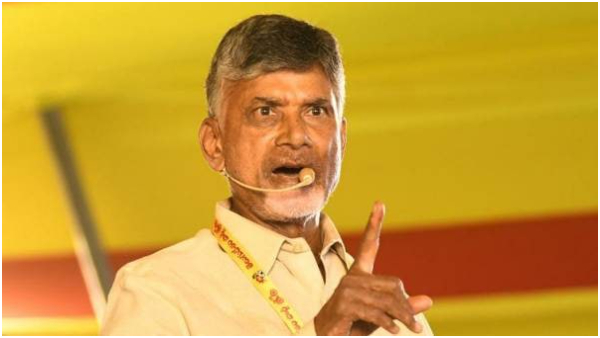 TDP Chief Chandra Babu Dermands Pension distribution at Beneficiaries houses srious on Officials