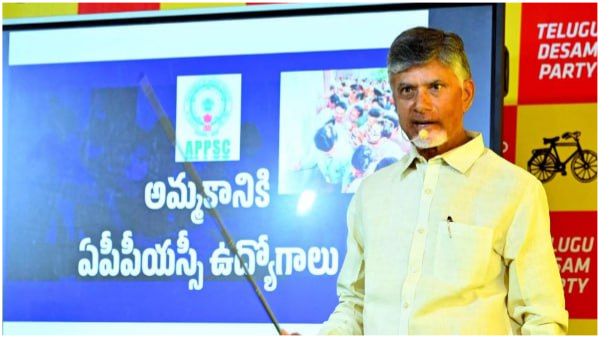 TDP has a special focus on social media TDP has a special focus on social media
