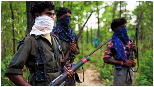 13 Maoists killed in massive encounter in bijapur District combing continues