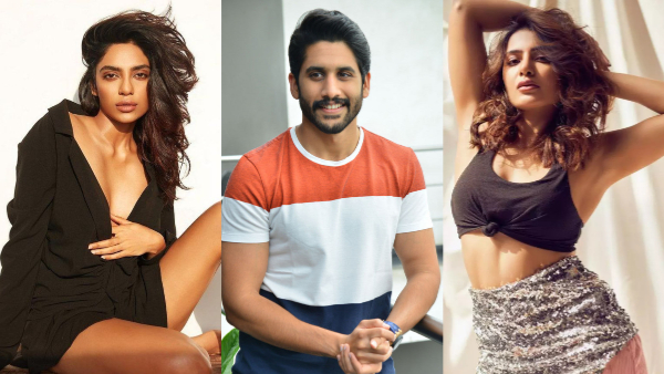 Naga Chaitanya s affair with heroine Sobhita