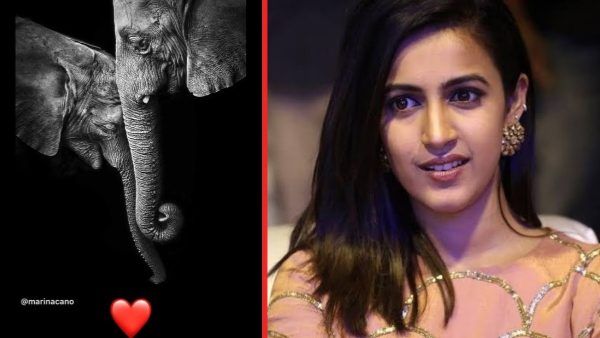 Niharika Konidela latest instagram post viral on social media