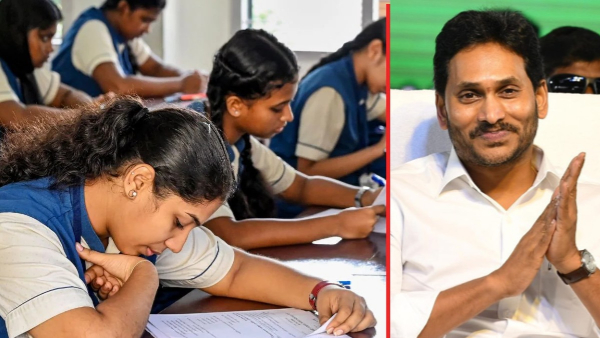 AP students who have shown their potential at the international level