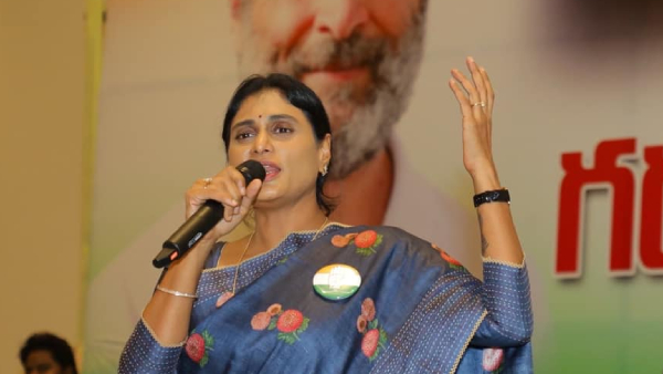 PCC chief YS Sharmila to begin election campaign in Kadapa may targets Aviansh PCC chief YS Sharmila to begin election campaign in Kadapa may targets Aviansh