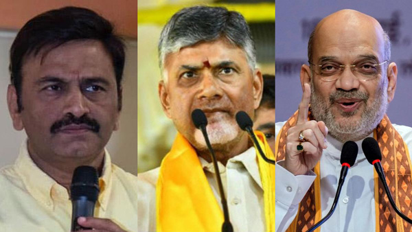 tdp chief chandrababu naidu trying to give narasapuram mp ticket