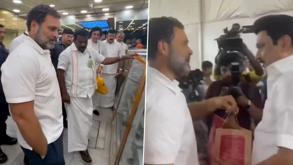 rahul gandhi jumped road divider for buying sweets for tamilandu cm mk stalin