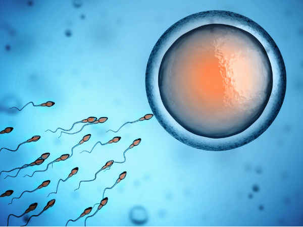 Infertility These Reasons for decrease in sperm count in men Infertility These Reasons for decrease in sperm count in men