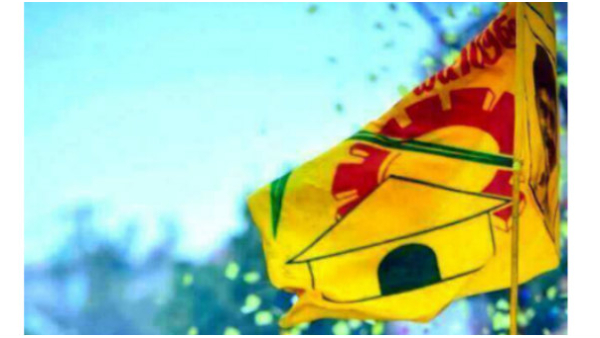 TDP has a special focus on social media TDP has a special focus on social media