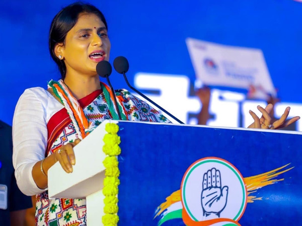 ys sharmila comments on cm ys jagan and mp avinashreddy