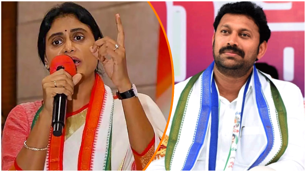 Kadapa Big Fight Contest between YS Sharmila and Avinash Reddy here the ground report Kadapa Big Fight Contest between YS Sharmila and Avinash Reddy here the ground report
