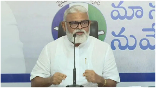 Minister Ambati Rambabu said attacks in AP due to Wrong decisions of EC DGP and some SPs