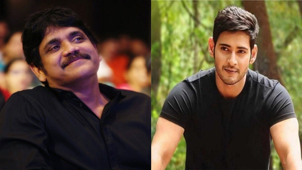 hero akkineni nagarjuna and maheshbabu support to political party