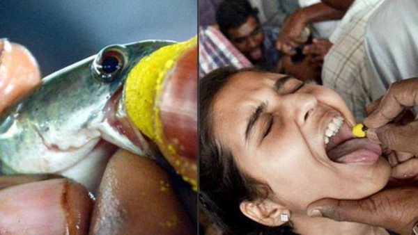 Fish medicine will be distributed in Hyderabad on June 8