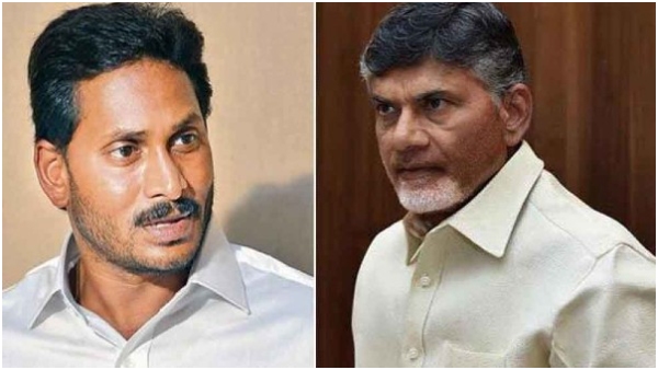 Chandrababu alert tdp leaders on votes counting day says ysrcp searching reasons for defeat Chandrababu alert tdp leaders on votes counting day says ysrcp searching reasons for defeat