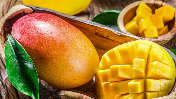 Why do we soak mangoes in water before eating them Find out Why do we soak mangoes in water before eating them Find out