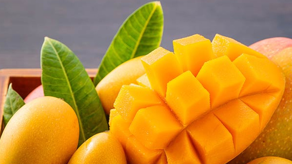 raw mango health benefits and uses in telugu
