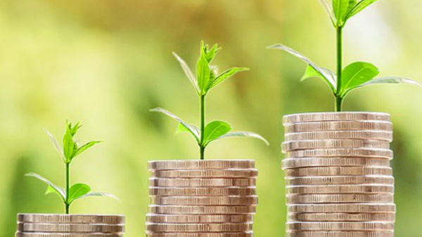 vastu tips grow these plants at home you will get huge money