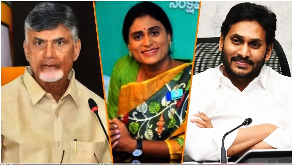 DL Ravindra Reddy told YS Sharmila in Kadapa that MLA s vote should be marked by bicycle