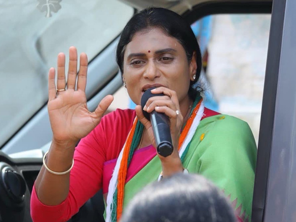 YS Sharmila ignored court orders and made sensational comments on ys viveka murder case