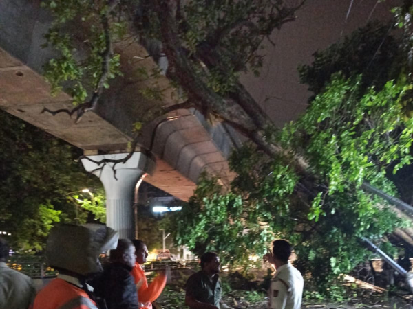 Bengaluru Rains Metro rail services have been disrupted due to a tree falling on the track