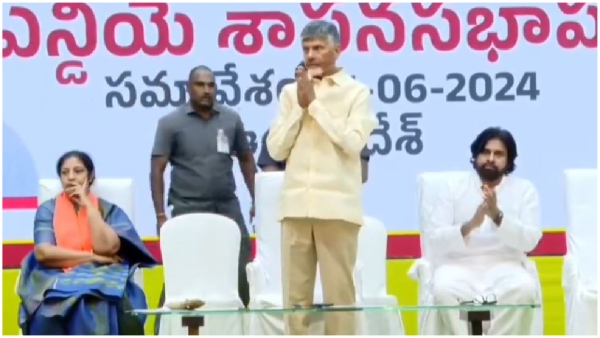 Chandrababu Naidu unanimously elected as TDLP leader