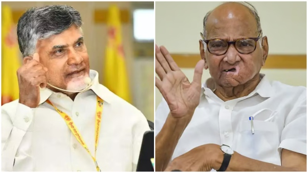 ncp chief sharad pawar calls Chandrababu invited into to india bloc amid nda covener offer