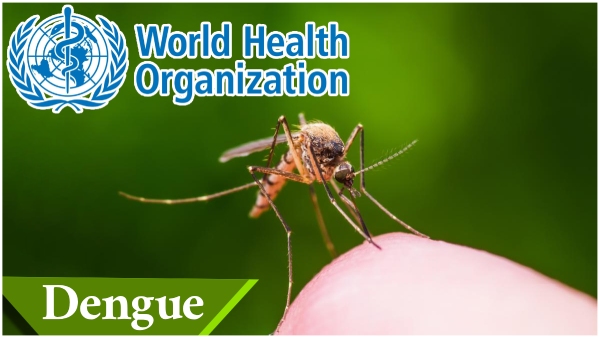 WHO has announced that Telangana is among the states with the highest number of dengue cases WHO has announced that Telangana is among the states with the highest number of dengue cases