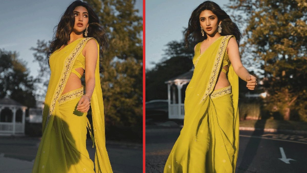 sreeleela saree pics goes viral