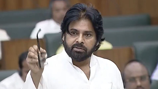 Pawan Kalyan first speech in AP Assembly