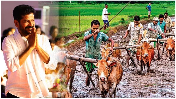 Revanth Govt negotiations with Bnaks ovr farmer loan wiaver may implement in two phases