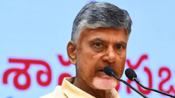 ap chief minister nara chandrababunaidu first six monthes taget details here