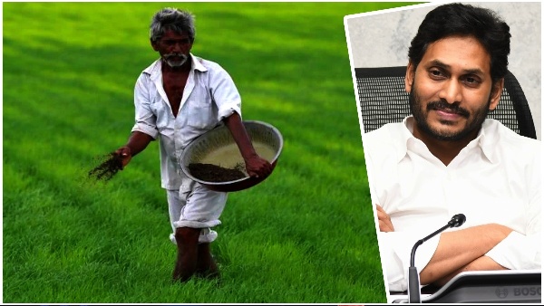 AP Govt Releases inpust subsidy of rs 1 126 31 cr in 8 89 lakh farmers accounts