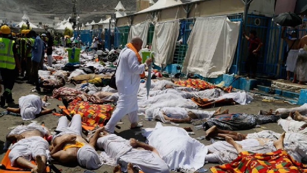 more than 500 haj pilgrims died due to above 50 degree temperatures in mecca more than 500 haj pilgrims died due to above 50 degree temperatures in mecca