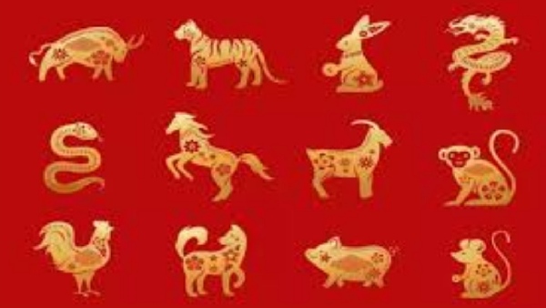 these zodiac signs will face somany problems due to shani vakri in aquarius