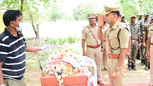 Police dog Raja died with illness rajanna sircilla police did raja funeral with police honours