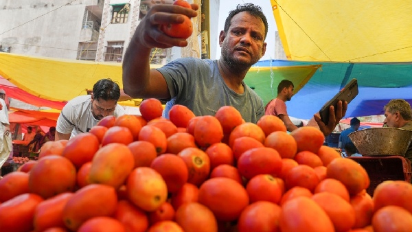 The prices of tomato and other vegetables in the state have increased drastically