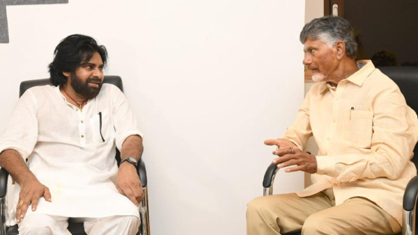 Chandra Babu allotted key port folios for Pawan and Senior ministers