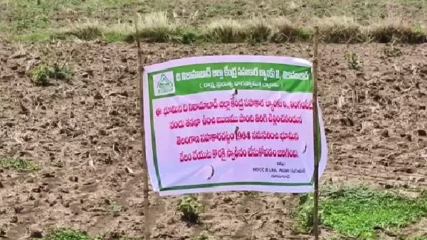 Telangana minister tummala nageswara rao fires on Kamareddy bank officials Telangana minister tummala nageswara rao fires on Kamareddy bank officials