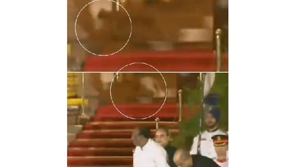 An animal reportedly a leopard walking at the Rashtrapati Bhavan
