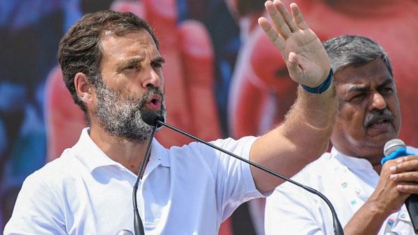 Lok Sabha Election Results 2024 Rahul Gandhi leading in both rae bareli and Wayanad seats