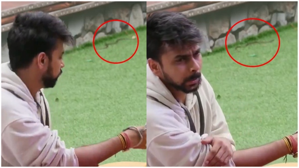 Bigg Boss OTT 3 House Encounters Snake Viral Video Stuns Fans Bigg Boss OTT 3 House Encounters Snake Viral Video Stuns Fans