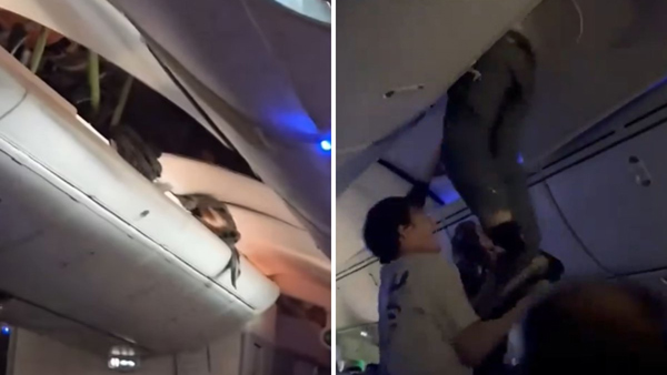 Viral Video Spanish flight Turbulence throws passenger into overhead bin