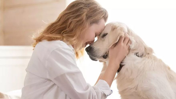 Unexpected Benefits of Having a Dog