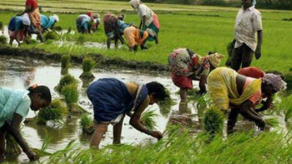 In the Telangana budget Rs 72 thousand 659 crores have been allocated