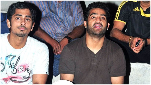 star hero siddharth career damaged due to junior ntr details here