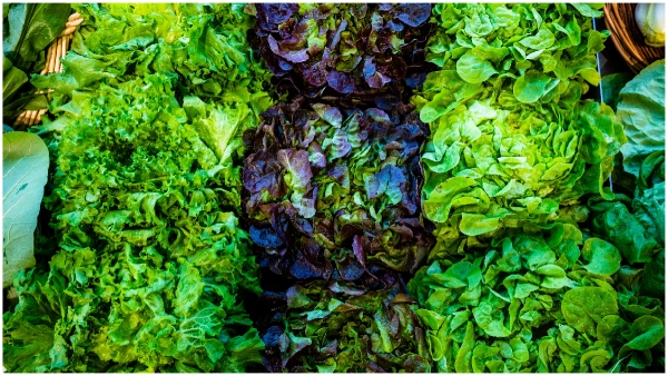 Don t eat leafy vegetables for four months in this rainy season for health