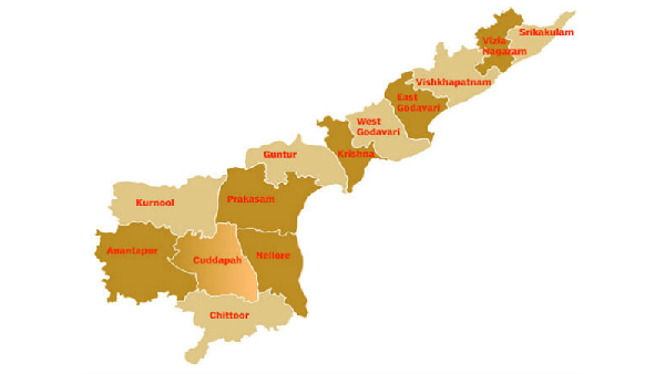 NECC announces new scheme in AP with 13 crore rupees