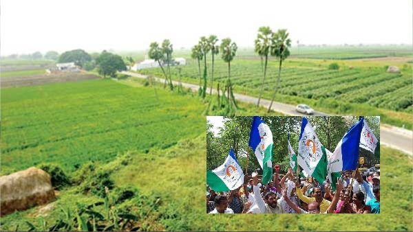 A complaint was filed against Peddireddy to the Special Secretary of the Revenue Department
