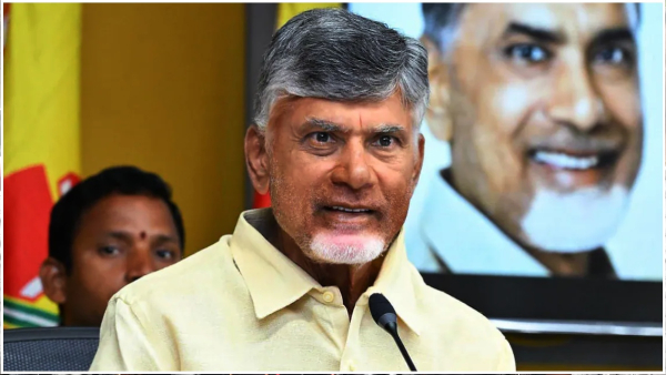 ap government appoint incharge vice chancellors for 17 universities- here is list