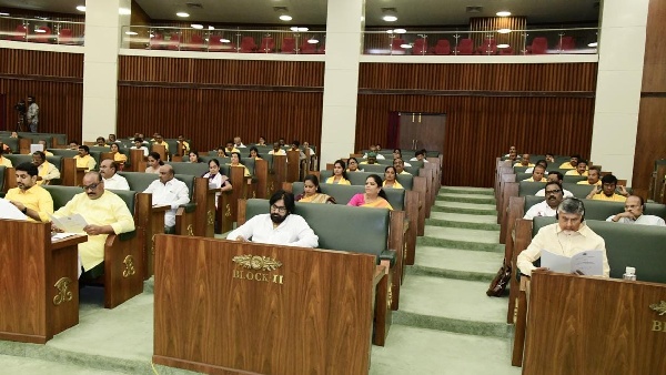 ap government finalised 7 whips from three nda parties-official announcement tomorrow ap government finalised 7 whips from three nda parties-official announcement tomorrow