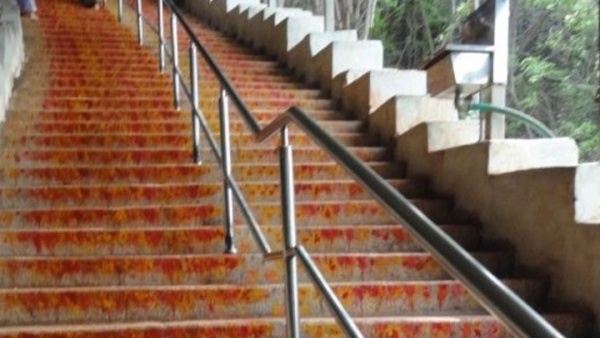 A devotee who was heading to the Tirumala bitten by a snake at Alipiri footpath